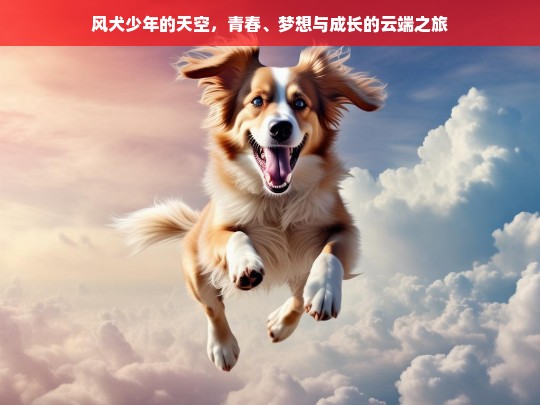 风犬少年的天空，青春、梦想与成长的云端之旅