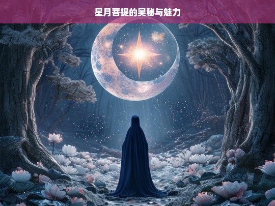 星月菩提的奥秘与魅力，星月菩提，奥秘与魅力探寻