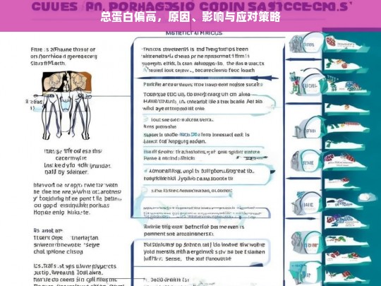 总蛋白偏高的原因、健康影响及有效应对策略