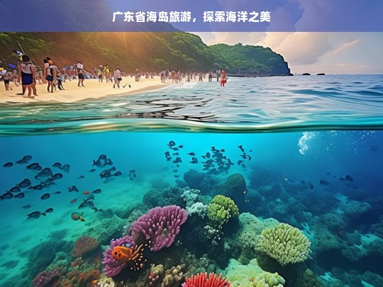 广东省海岛旅游，探索海洋之美，广东省海岛旅游，探寻海洋之美