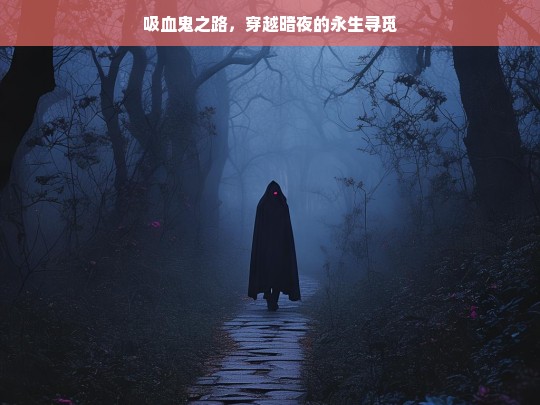 吸血鬼之路，暗夜永生，寻觅不老的传说