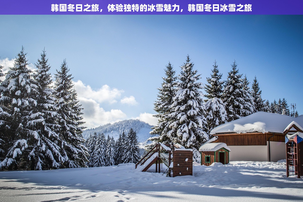 韩国冬日之旅，体验独特的冰雪魅力，韩国冬日冰雪之旅