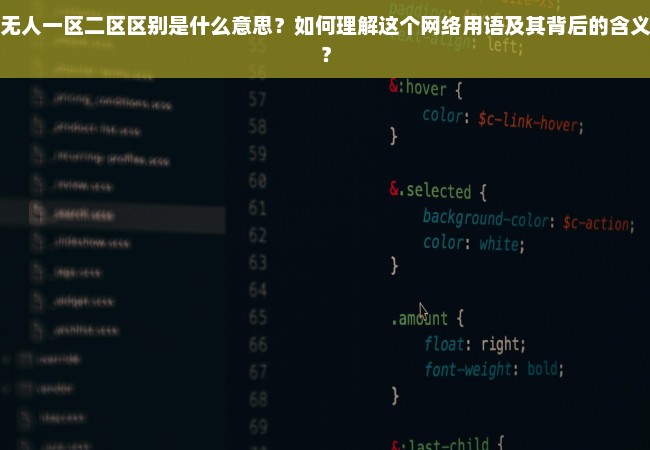 无人一区二区区别是什么意思？如何理解这个网络用语及其背后的含义？
