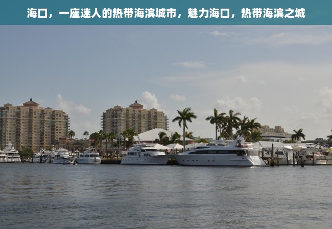 海口，一座迷人的热带海滨城市，魅力海口，热带海滨之城