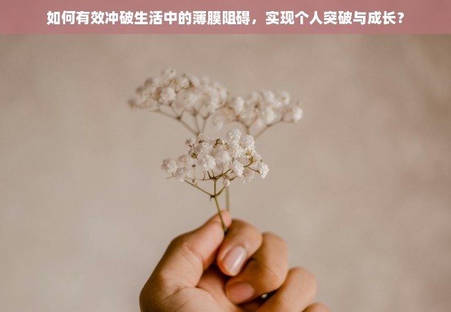 如何有效冲破生活中的薄膜阻碍，实现个人突破与成长？