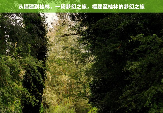 从福建到桂林，一场梦幻之旅，福建至桂林的梦幻之旅