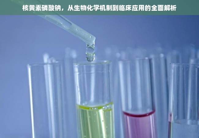 核黄素磷酸钠，从生物化学机制到临床应用的全面解析