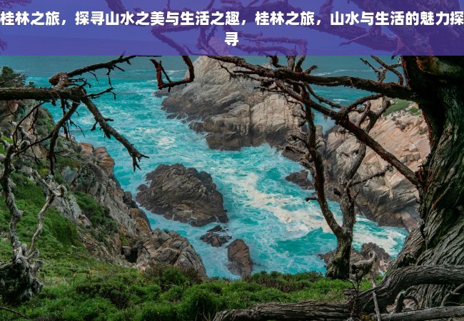 桂林之旅，探寻山水之美与生活之趣，桂林之旅，山水与生活的魅力探寻