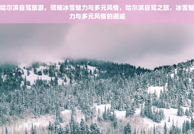 哈尔滨自驾旅游，领略冰雪魅力与多元风情，哈尔滨自驾之旅，冰雪魅力与多元风情的邂逅