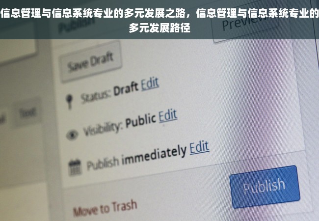 信息管理与信息系统专业的多元发展之路，信息管理与信息系统专业的多元发展路径