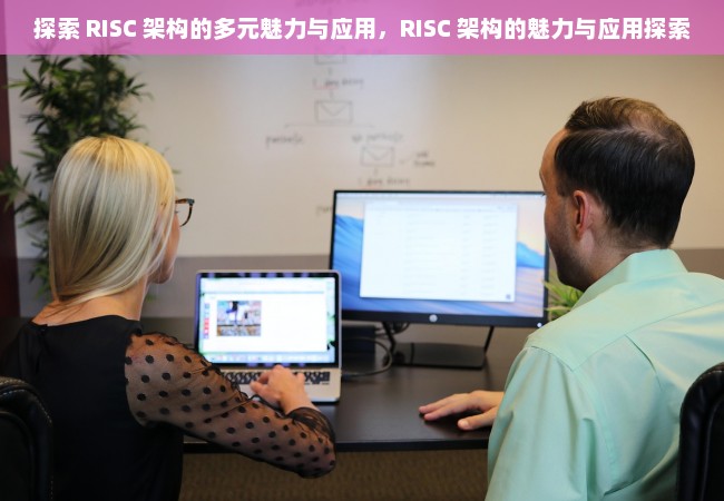 探索 RISC 架构的多元魅力与应用，RISC 架构的魅力与应用探索