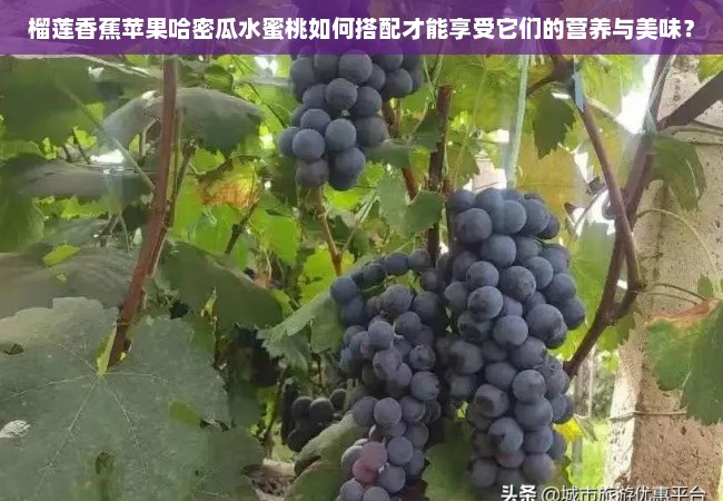 榴莲香蕉苹果哈密瓜水蜜桃如何搭配才能享受它们的营养与美味？