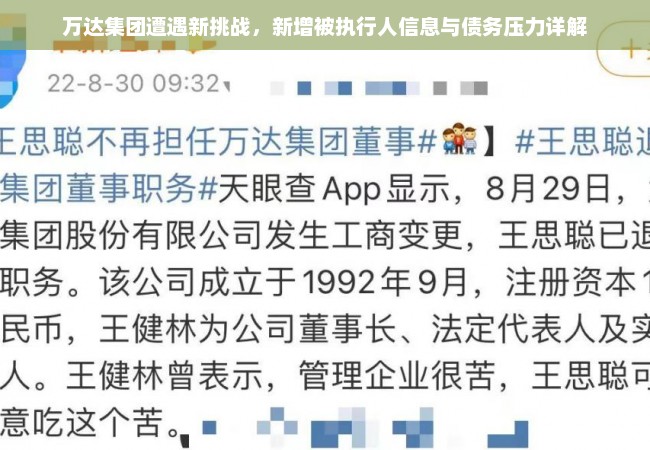 万达集团遭遇新挑战，新增被执行人信息与债务压力详解