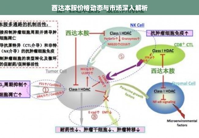 西达本胺价格动态与市场深入解析