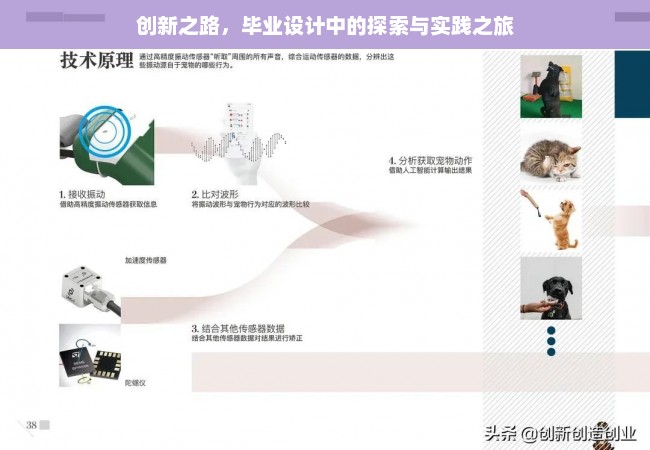 创新之路，毕业设计中的探索与实践之旅