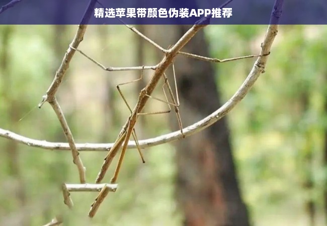 精选苹果带颜色伪装APP推荐