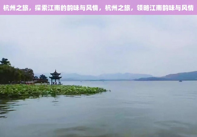 杭州之旅，探索江南的韵味与风情，杭州之旅，领略江南韵味与风情