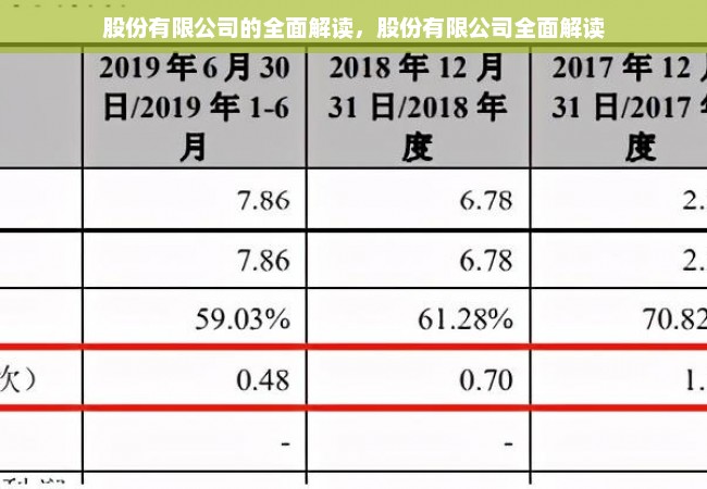 股份有限公司的全面解读，股份有限公司全面解读