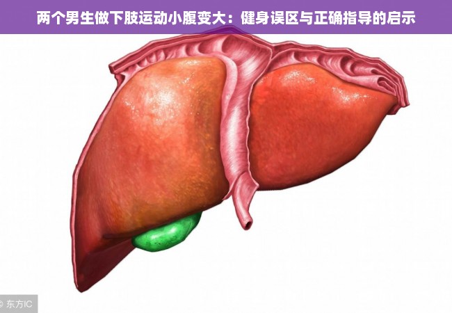 两个男生做下肢运动小腹变大：健身误区与正确指导的启示