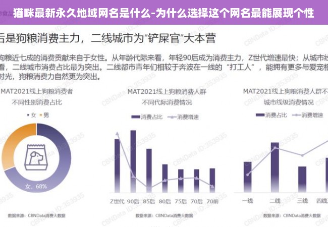 猫咪最新永久地域网名是什么-为什么选择这个网名最能展现个性