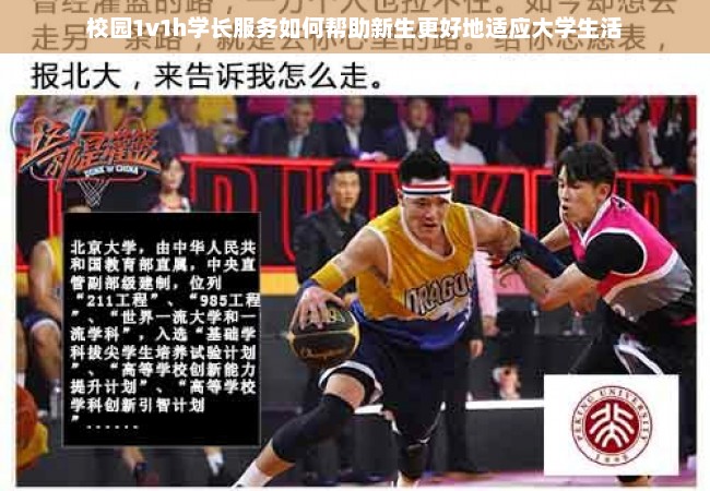 校园1v1h学长服务如何帮助新生更好地适应大学生活