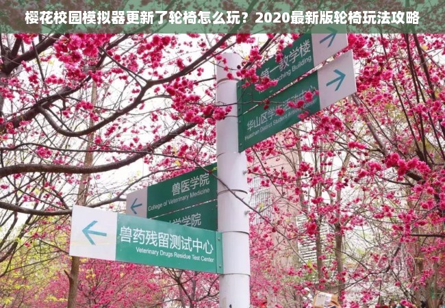 樱花校园模拟器更新了轮椅怎么玩？2020最新版轮椅玩法攻略