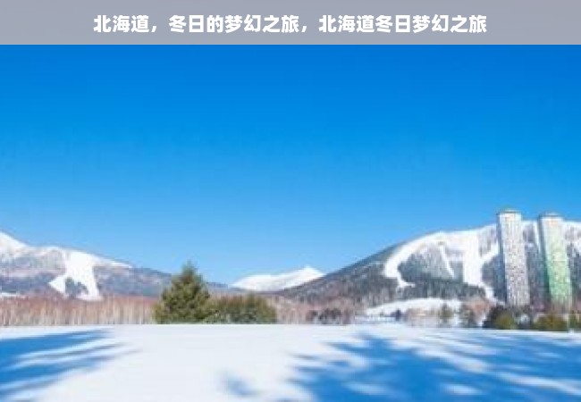 北海道，冬日的梦幻之旅，北海道冬日梦幻之旅