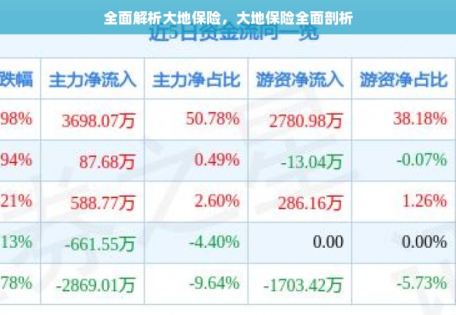 全面解析大地保险，大地保险全面剖析