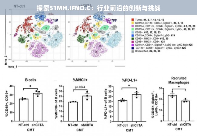 探索51MH.IFNO.C：行业前沿的创新与挑战