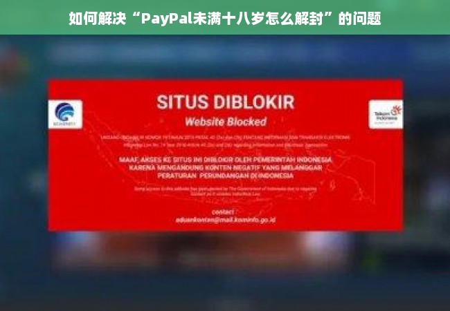 如何解决“PayPal未满十八岁怎么解封”的问题