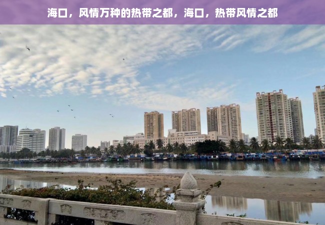 海口，风情万种的热带之都，海口，热带风情之都