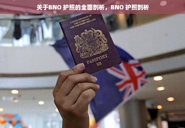 关于BNO 护照的全面剖析，BNO 护照剖析