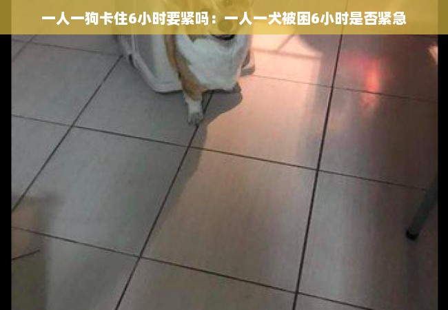 一人一狗卡住6小时要紧吗：一人一犬被困6小时是否紧急