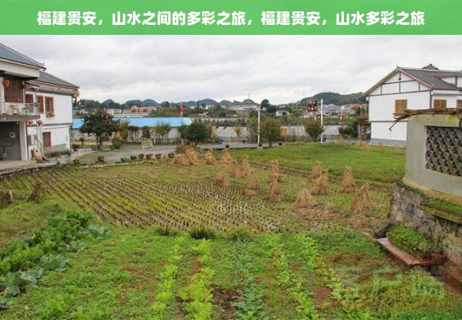 福建贵安，山水之间的多彩之旅，福建贵安，山水多彩之旅