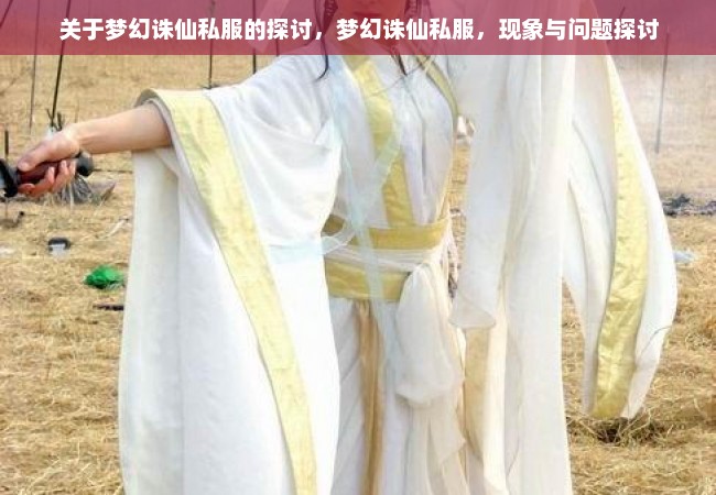 关于梦幻诛仙私服的探讨，梦幻诛仙私服，现象与问题探讨