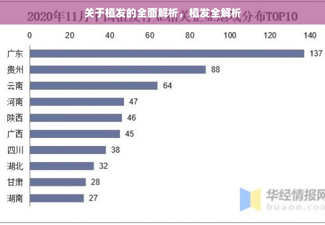 关于植发的全面解析，植发全解析