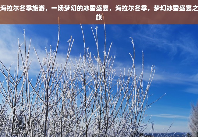 海拉尔冬季旅游，一场梦幻的冰雪盛宴，海拉尔冬季，梦幻冰雪盛宴之旅