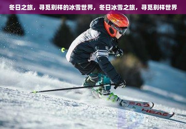 冬日之旅，寻觅别样的冰雪世界，冬日冰雪之旅，寻觅别样世界