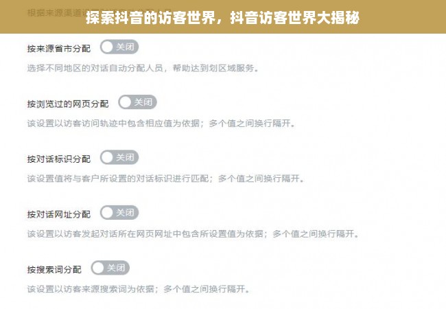 探索抖音的访客世界，抖音访客世界大揭秘