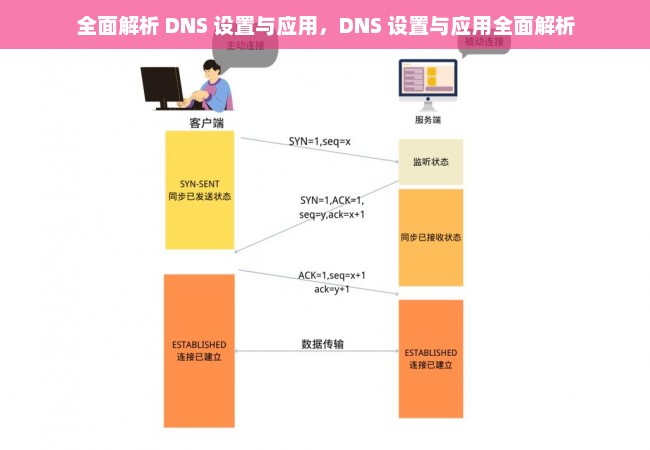 全面解析 DNS 设置与应用，DNS 设置与应用全面解析