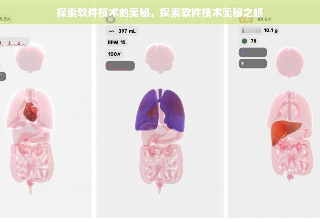 探索软件技术的奥秘，探索软件技术奥秘之旅