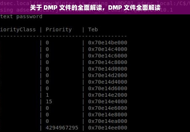 关于 DMP 文件的全面解读，DMP 文件全面解读