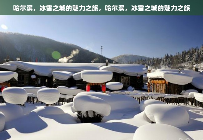 哈尔滨，冰雪之城的魅力之旅，哈尔滨，冰雪之城的魅力之旅