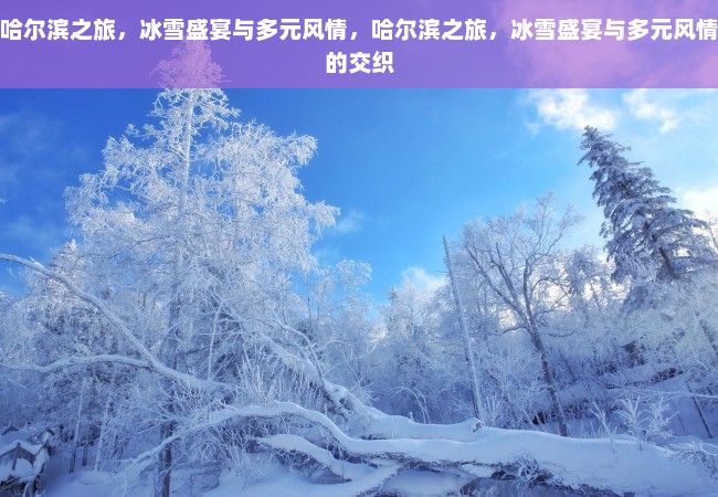 哈尔滨之旅，冰雪盛宴与多元风情，哈尔滨之旅，冰雪盛宴与多元风情的交织