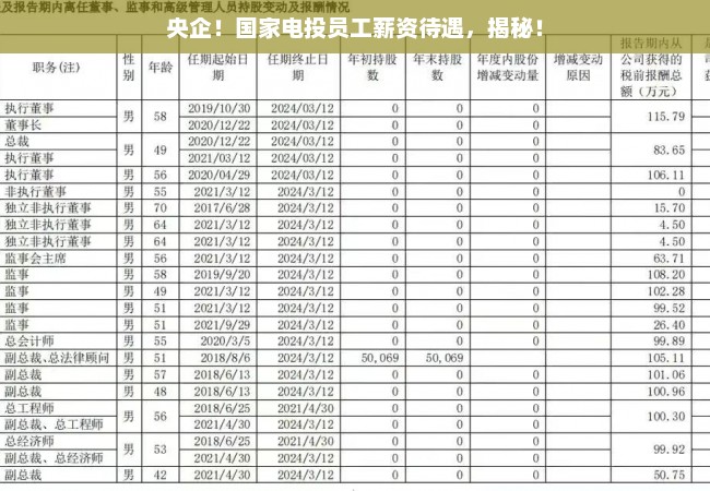 央企！国家电投员工薪资待遇，揭秘！