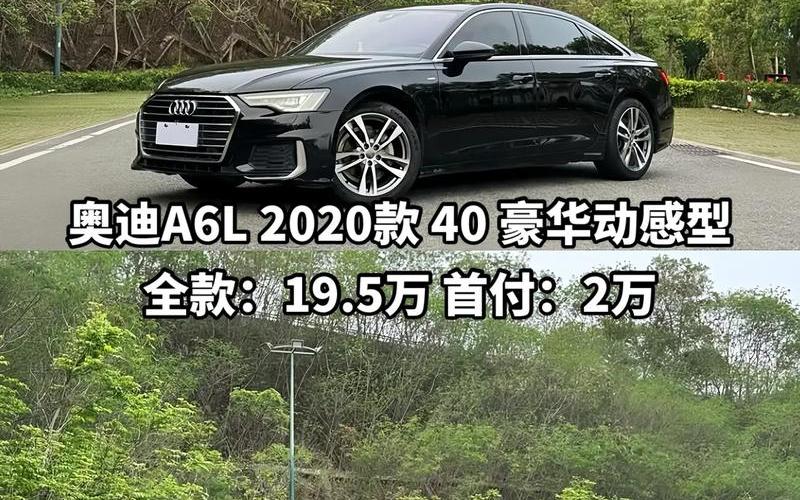 奥迪a6l颜色大全图片_2020款奥迪a6l 颜色，女人开奥迪a4l还是奔驰c260_懂车的人买奔驰还是奥迪